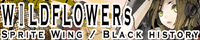 Wild Flowers
